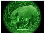 Прицелы ночного видения  2+ и 3-го поколения - Тепловизионные прицелы и ночная оптика